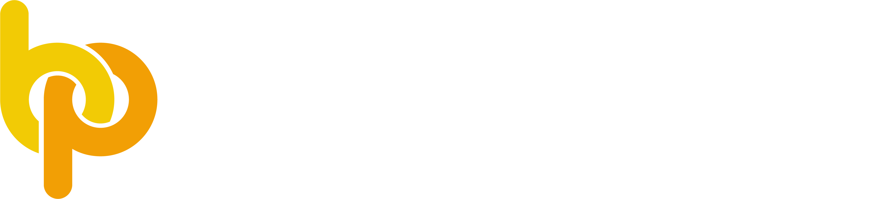 BrightPay Partner